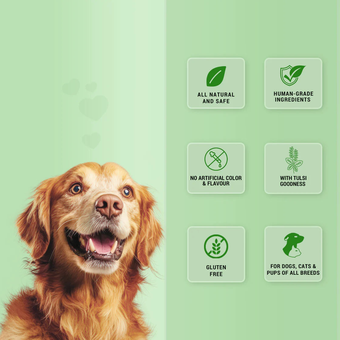 Natural Remedies Treat O'Clock Hemp & Tulsi Strip | Soft Dog Treats