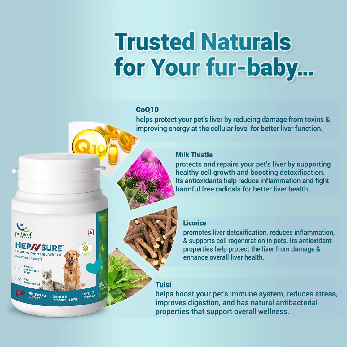 Natural Remedies HepNSure Tablet | Pet Suppliments