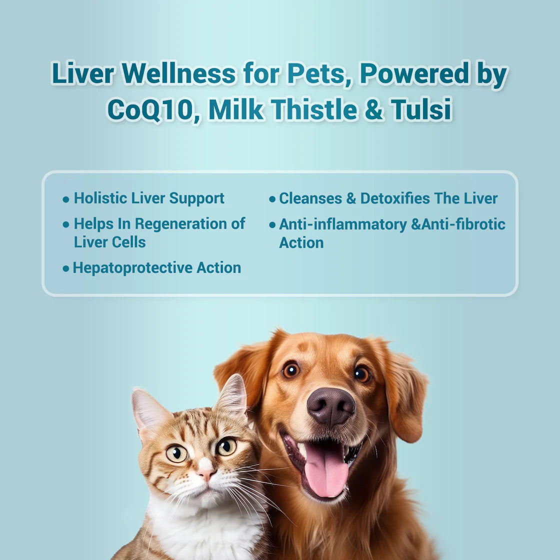 Natural Remedies HepNSure Tablet | Pet Suppliments