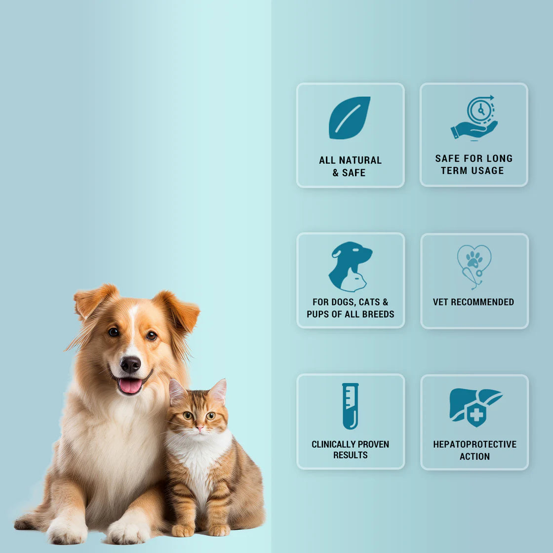 Natural Remedies HepNSure Tablet | Pet Suppliments
