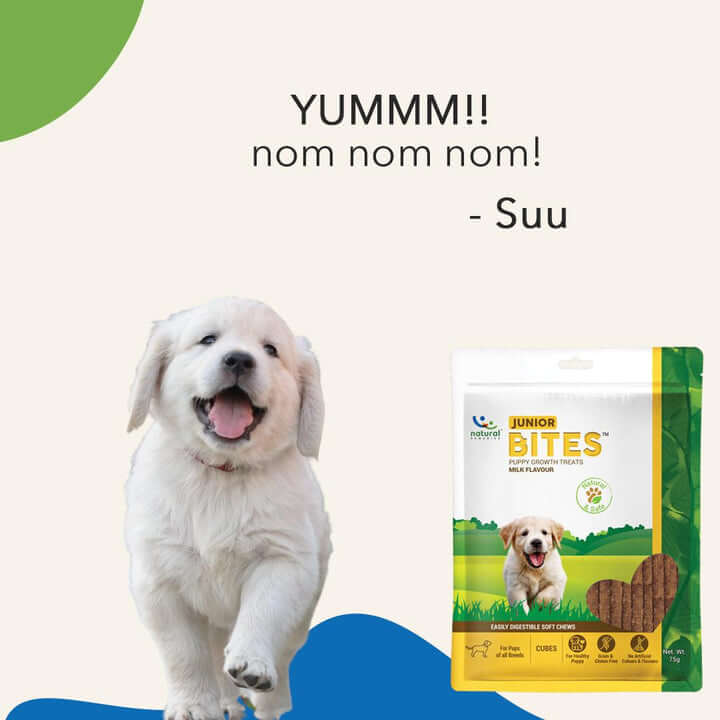 Natural Remedies Junior Bites Milk Flavour | Soft Dog Treats
