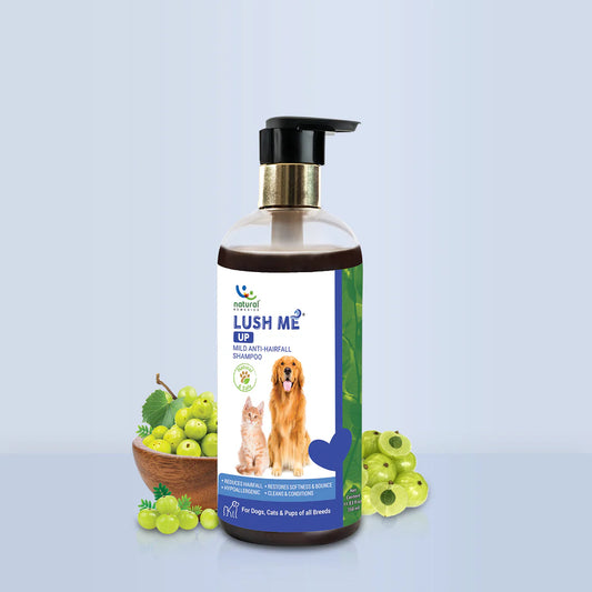 Natural Remedies Lush Me Up Shampoo | Pet Grooming Supplies
