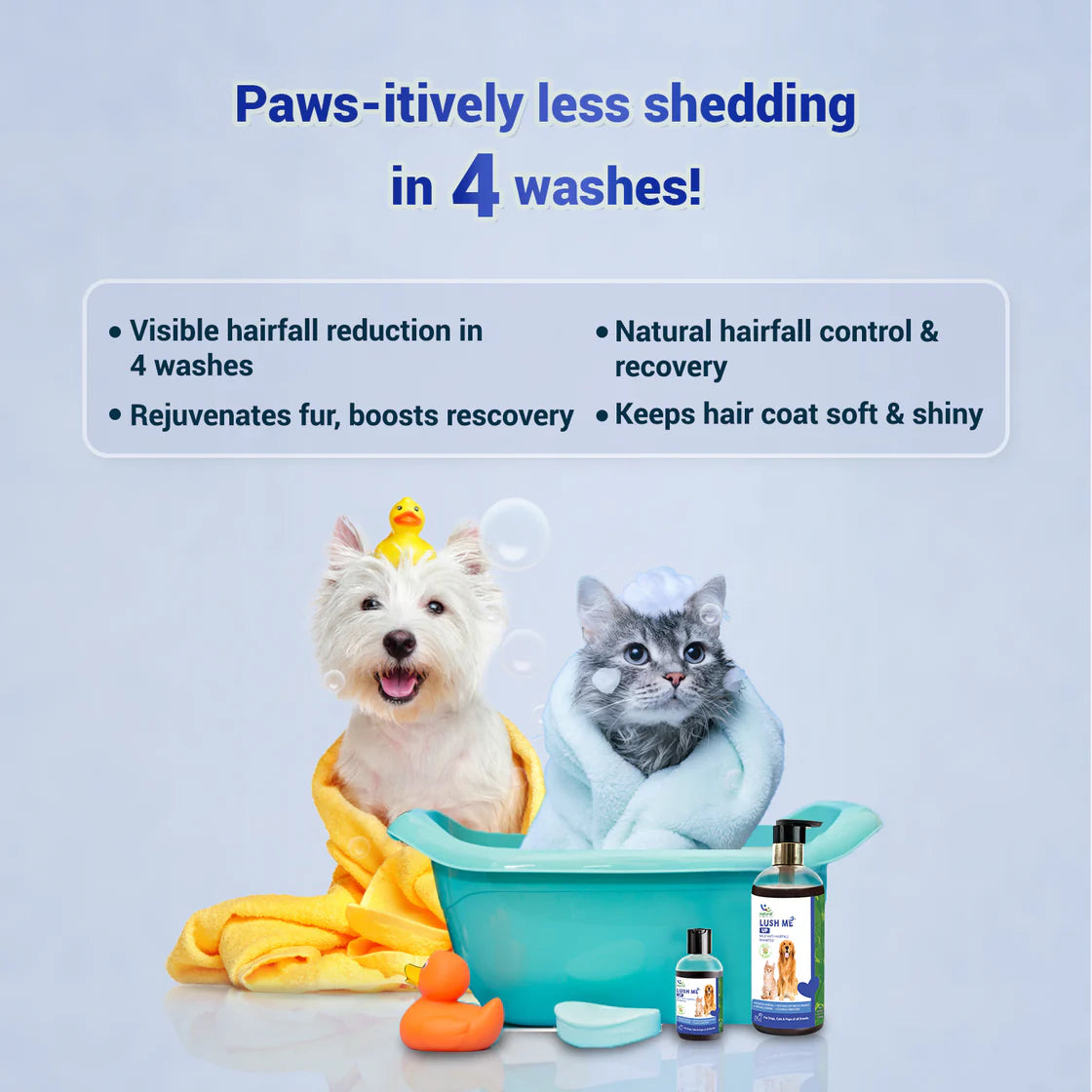 Natural Remedies Lush Me Up Shampoo | Pet Grooming Supplies
