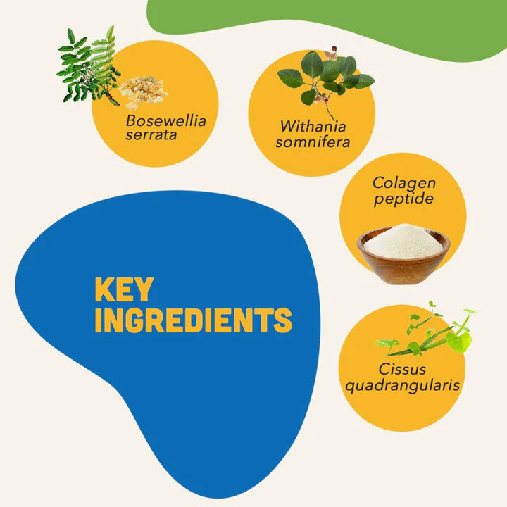 Natural Remedies Mobility Bites Banana Flavour | Soft Dog Treats