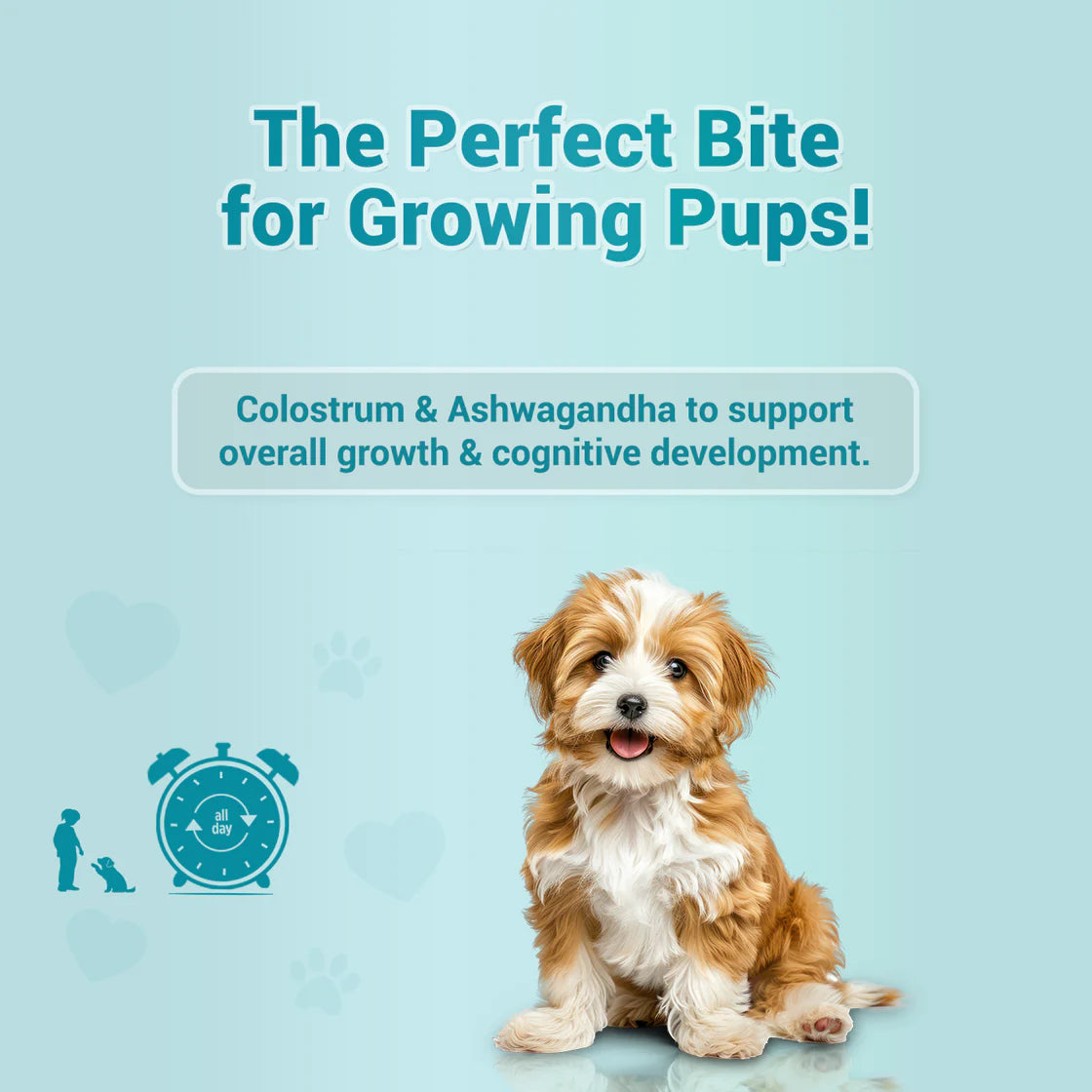 Natural Remedies Treat O'Clock Milk & Chicken Cubes | Soft Dog Treats