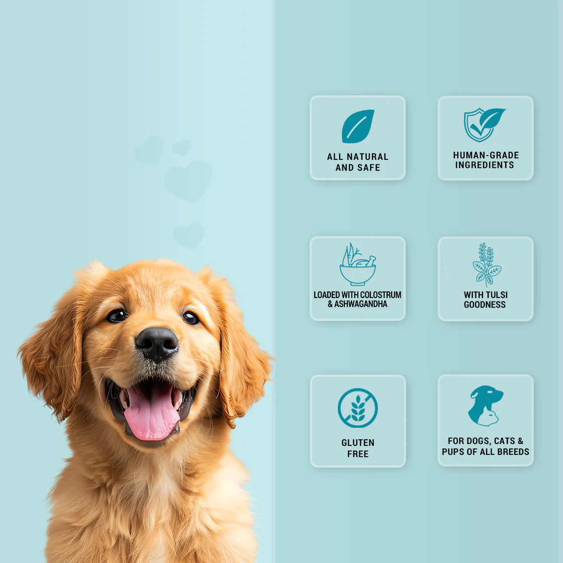 Natural Remedies Treat O'Clock Milk & Chicken Cubes | Soft Dog Treats