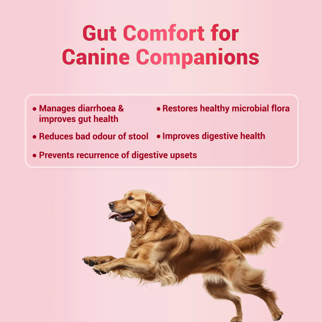 Natural Remedies NatGut Tablet | Pet Suppliments