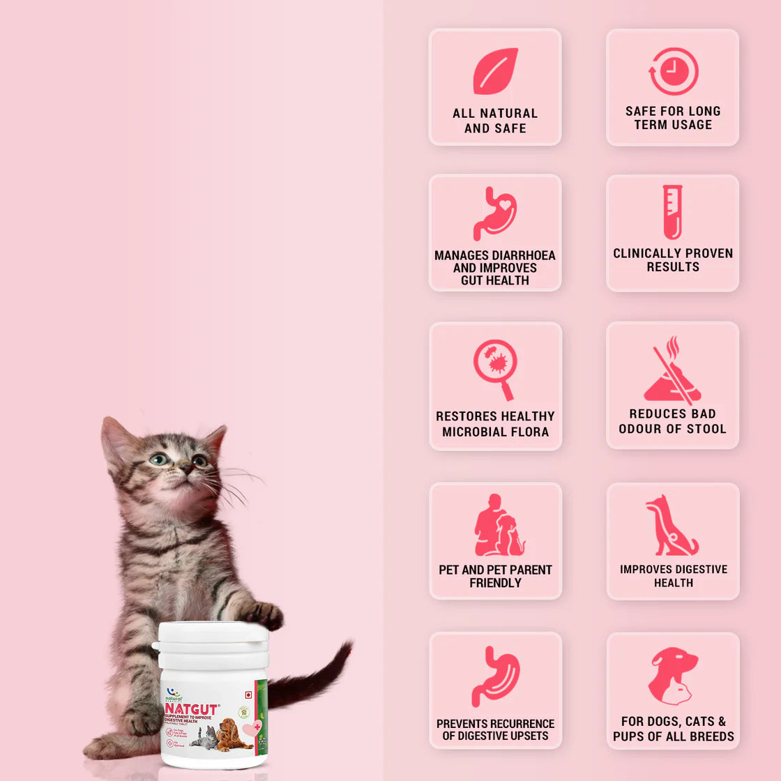 Natural Remedies NatGut Tablet | Pet Suppliments