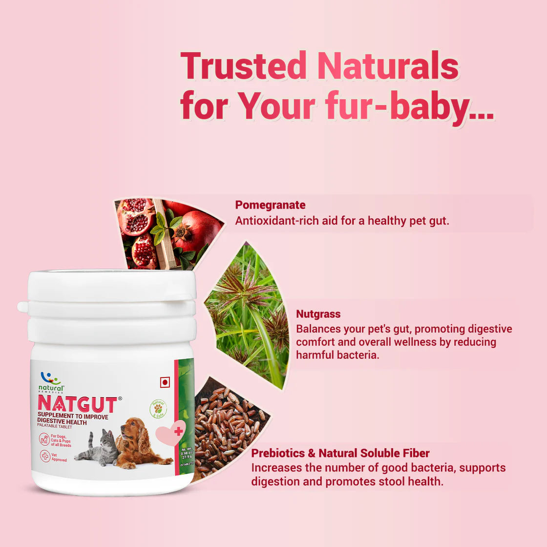 Natural Remedies NatGut Tablet | Pet Suppliments