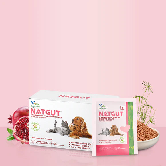 Natural Remedies NatGut Powder Sachets | Pet Suppliment