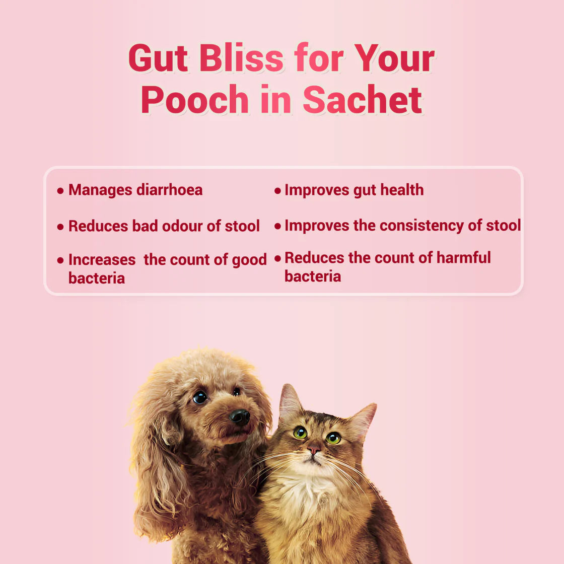 Natural Remedies NatGut Powder Sachets | Pet Suppliment