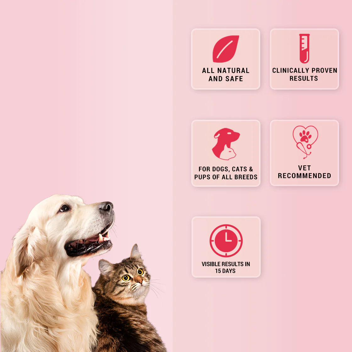 Natural Remedies NatGut Powder Sachets | Pet Suppliment