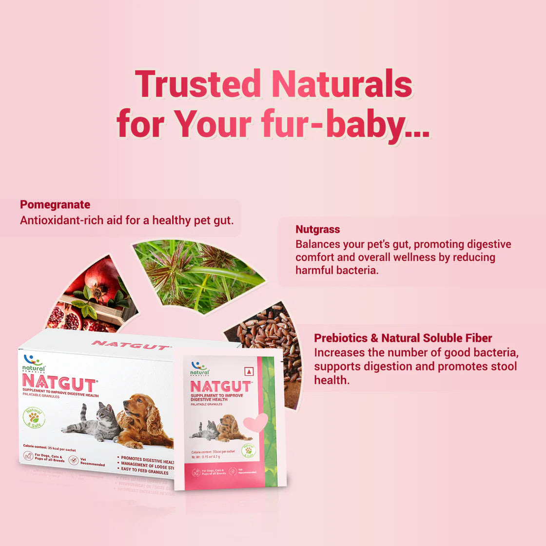 Natural Remedies NatGut Powder Sachets | Pet Suppliment