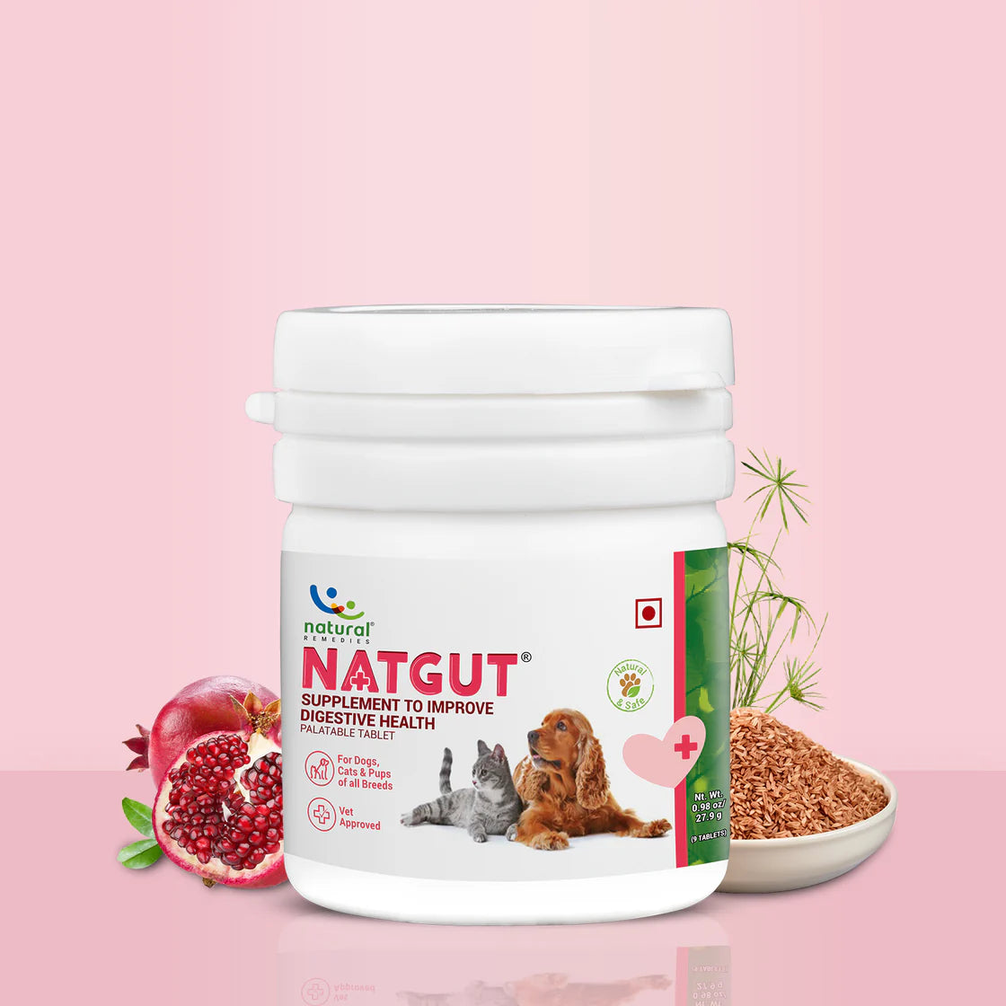 Natural Remedies NatGut Tablet | Pet Suppliments