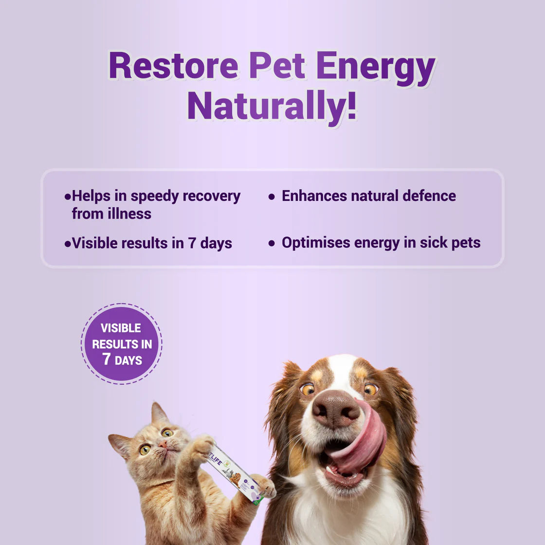 Natural Remedies Natlife Paste 30ml | Pet Suppliment