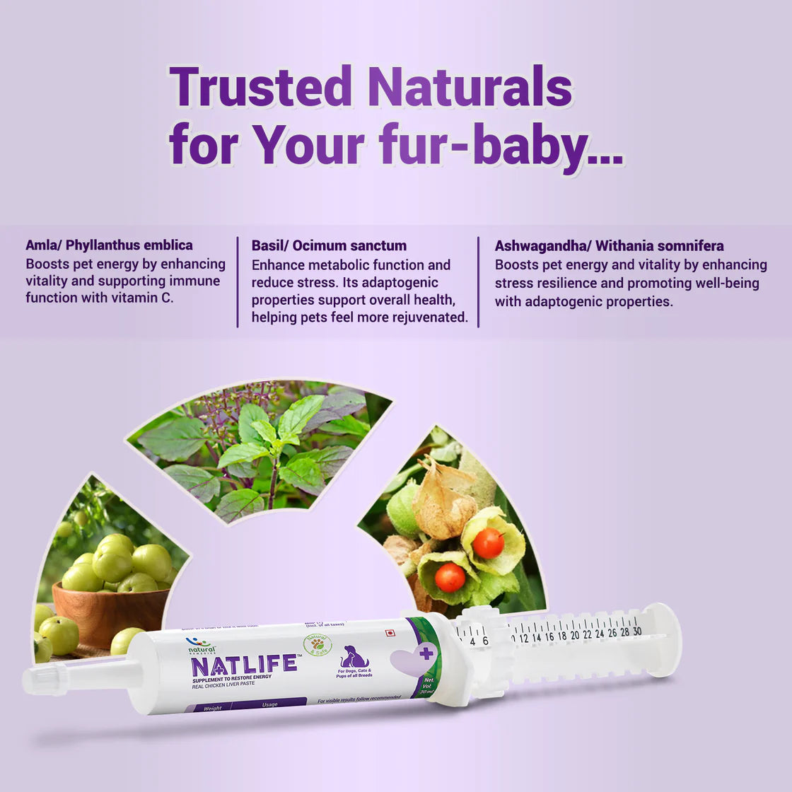 Natural Remedies Natlife Paste 30ml | Pet Suppliment