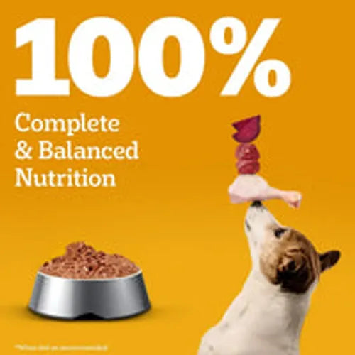 Pedigree Adult Roasted Lamb 130 gm | Wet Dog Food