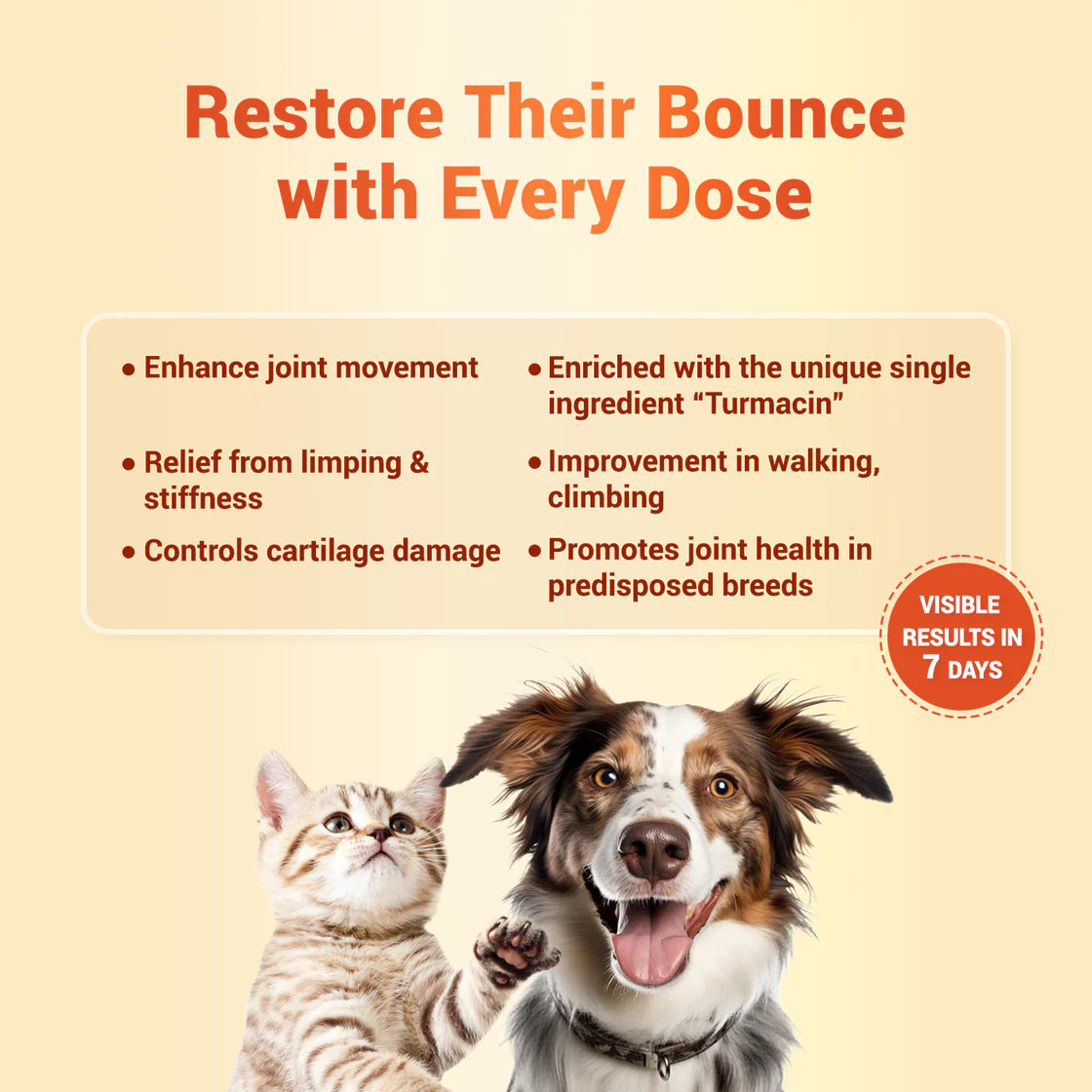 Natural Remedies Orthoron Plus Paste 60ml | Pet Suppliment