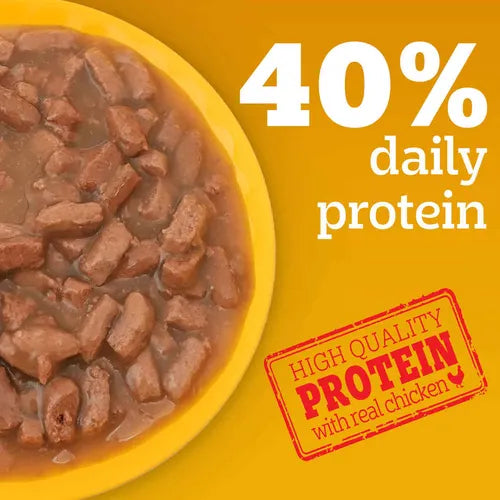 Pedigree Adult Roasted Lamb 130 gm | Wet Dog Food