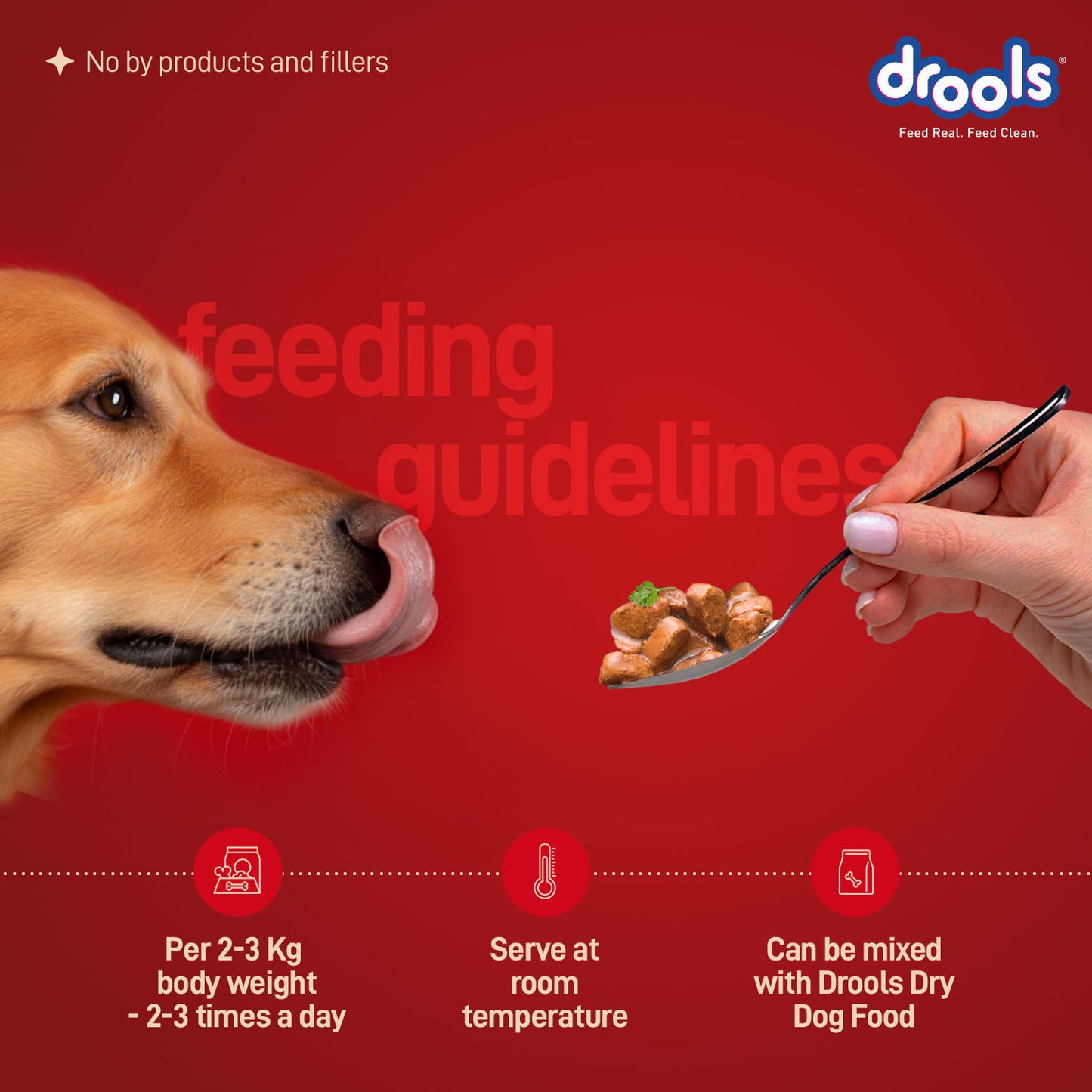 Drools Adult Chicken & Chicken Liver Gravy | Wet Dog Food