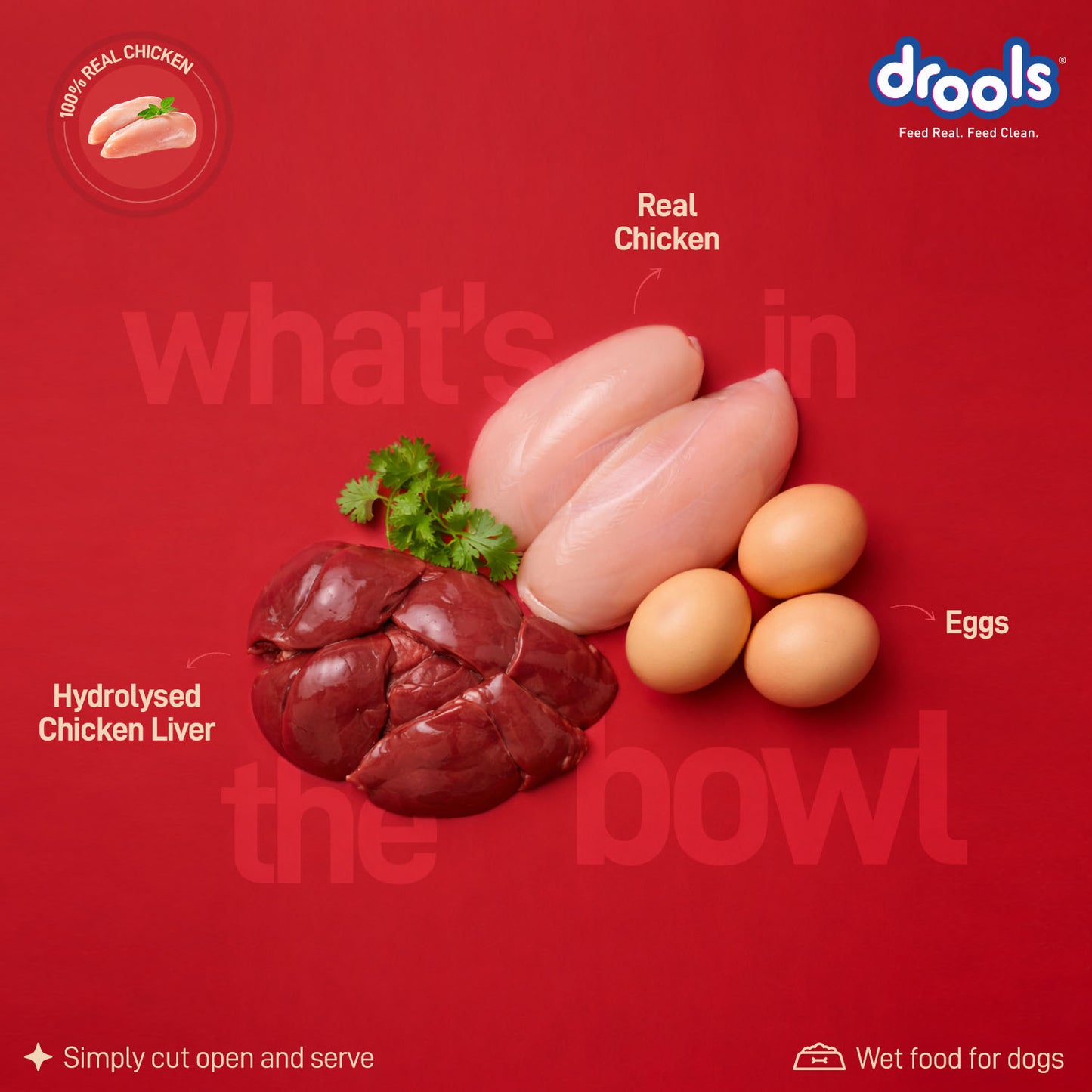 Drools Adult Chicken & Chicken Liver Gravy | Wet Dog Food