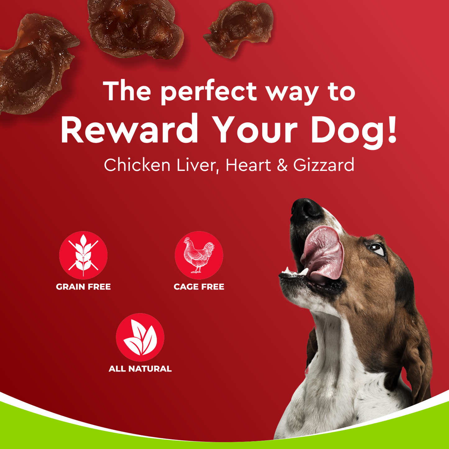 Drools Dehydrated Chicken Giblets | Dry Dog Treats