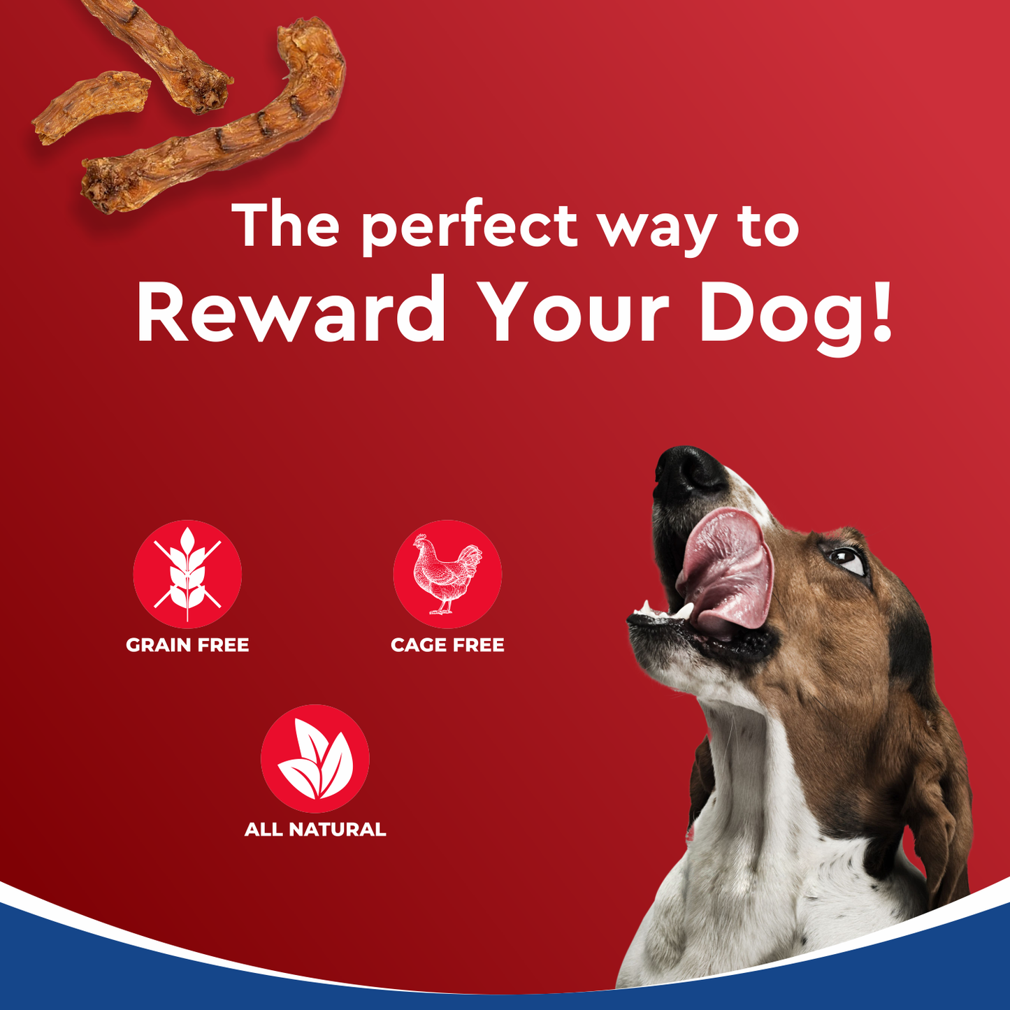 Drools Dehydrated Chicken Neck | Dry Dog Treats