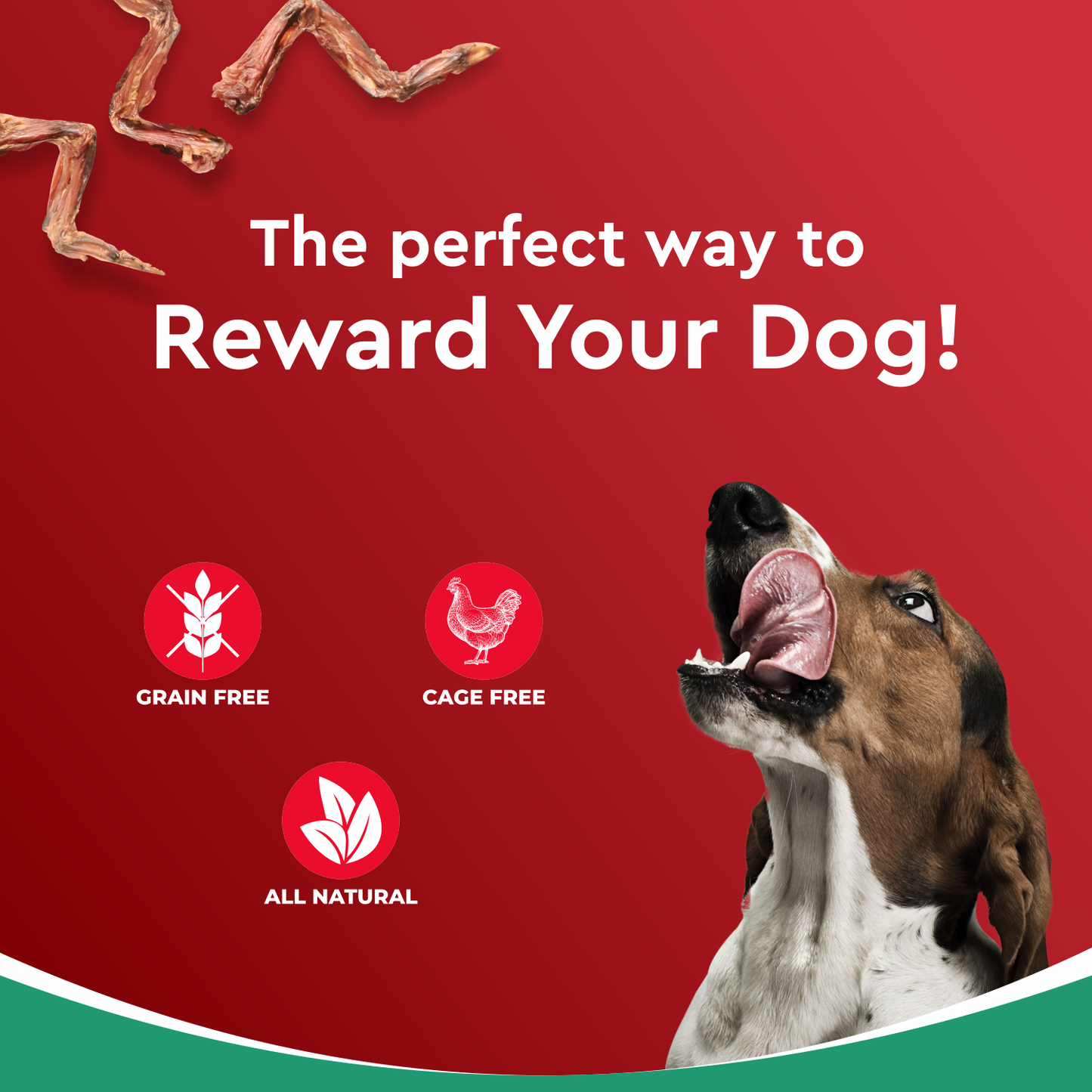 Drools Dehydrated Chicken Wings | Dry Dog Treats
