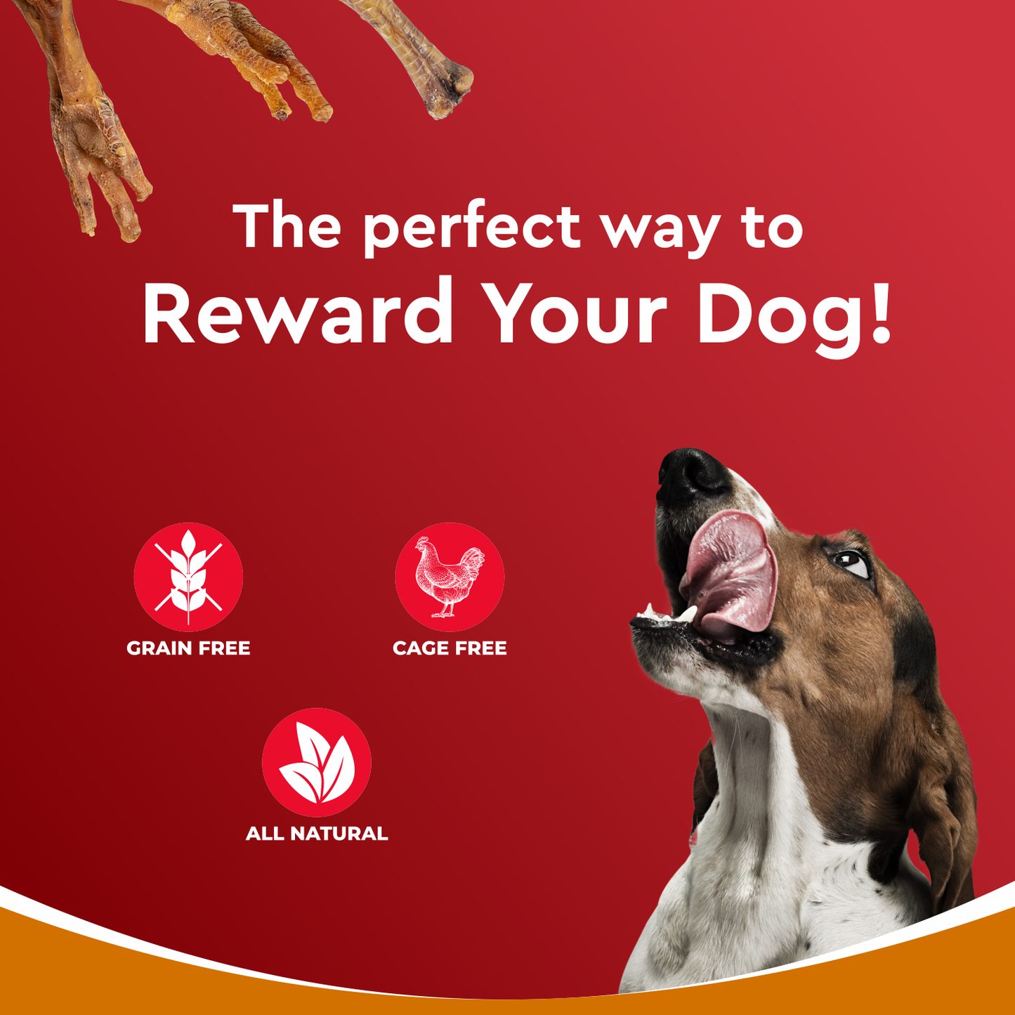Drools Dehydrated Chicken Feet | Dry Dog Treats