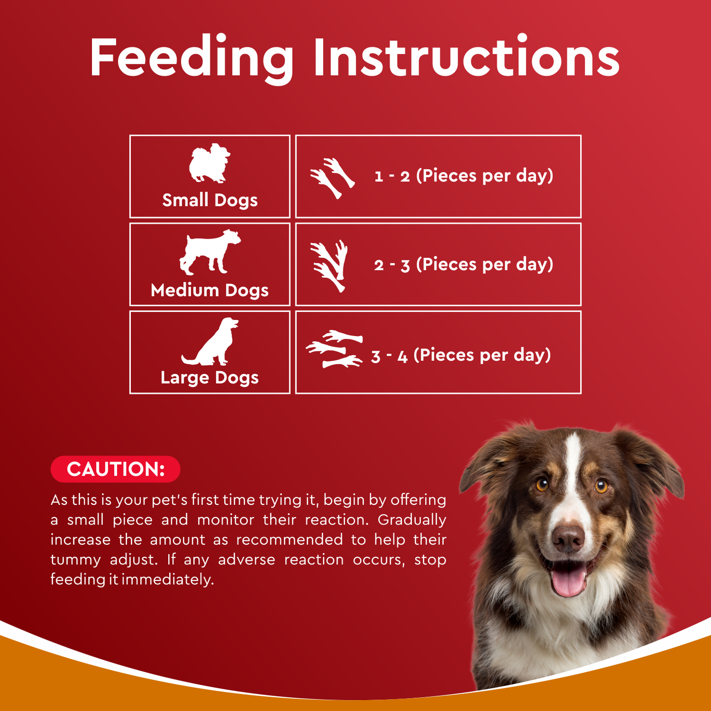 Drools Dehydrated Chicken Feet | Dry Dog Treats