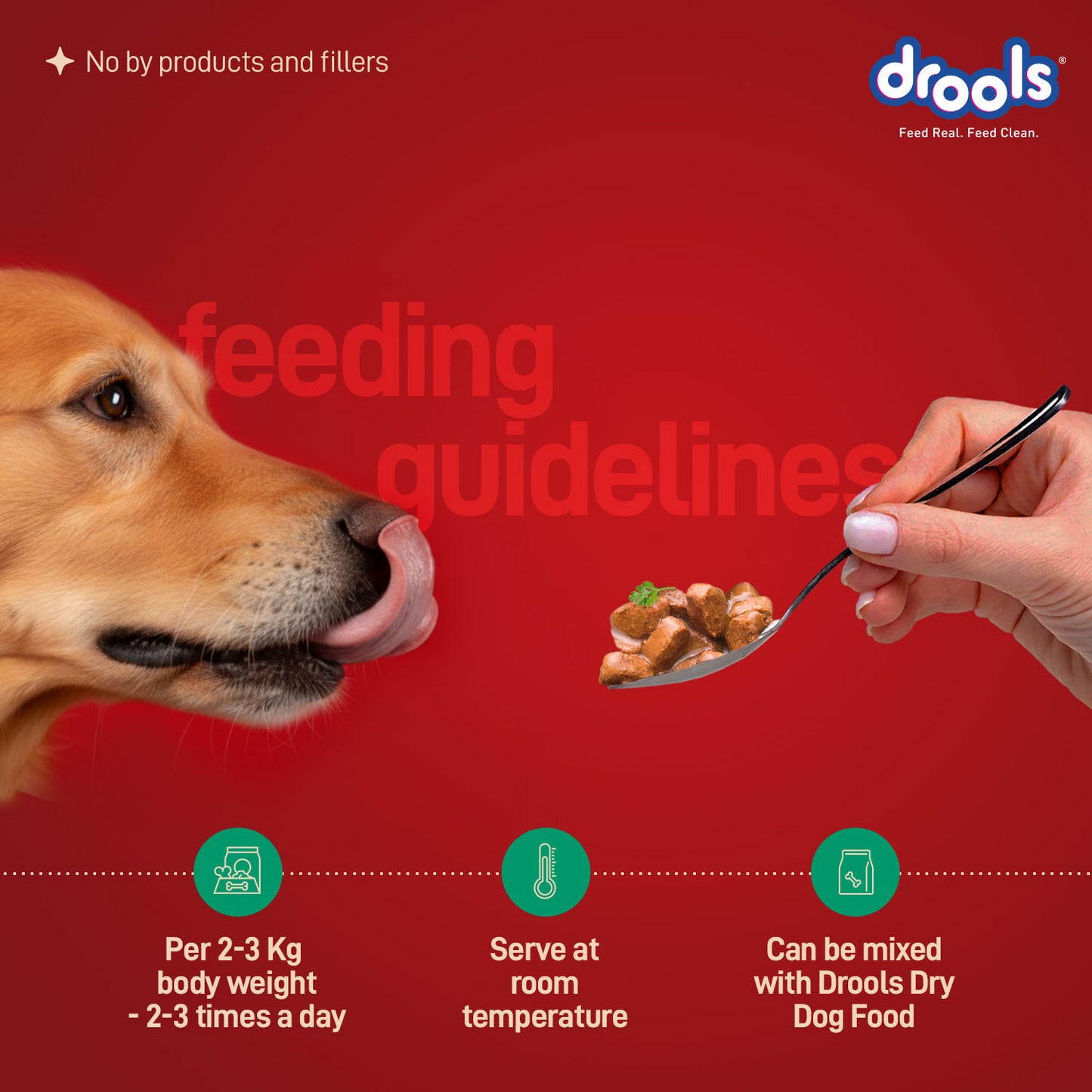 Drools Adult Sunday Roast with Chicken & Vegetable Gravy | Wet Dog Food