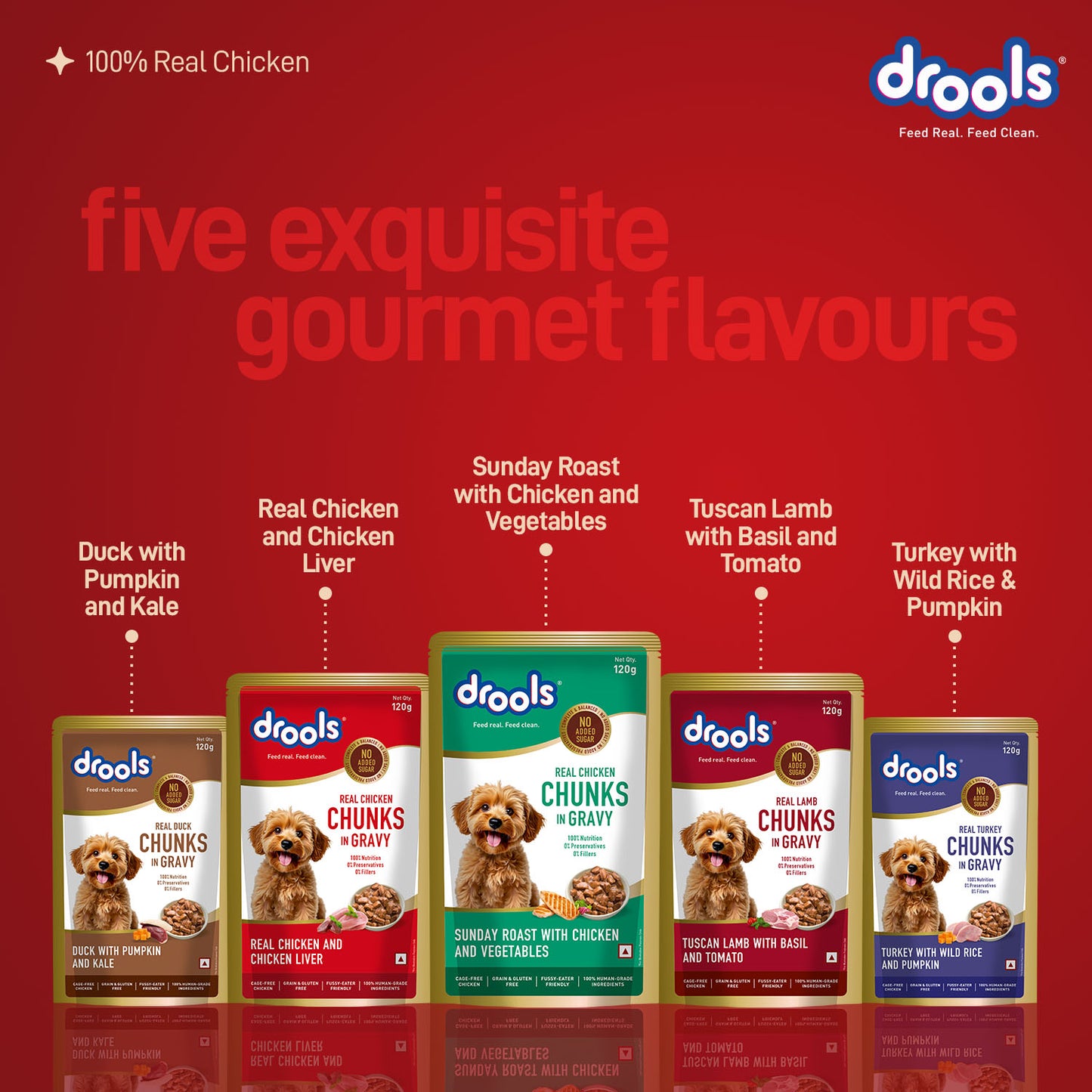 Drools Adult Sunday Roast with Chicken & Vegetable Gravy | Wet Dog Food