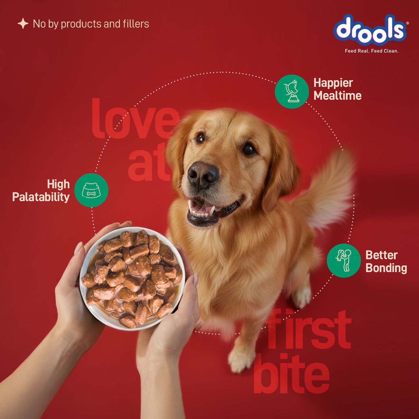 Drools Adult Sunday Roast with Chicken & Vegetable Gravy | Wet Dog Food