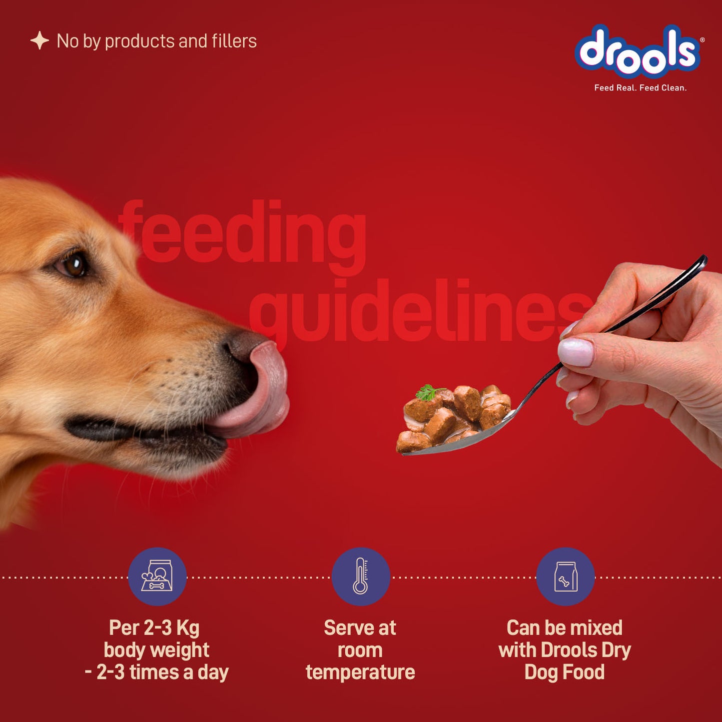 Drools Adult Turkey with Wild Rice & Pumpkin Gravy | Wet Dog Food