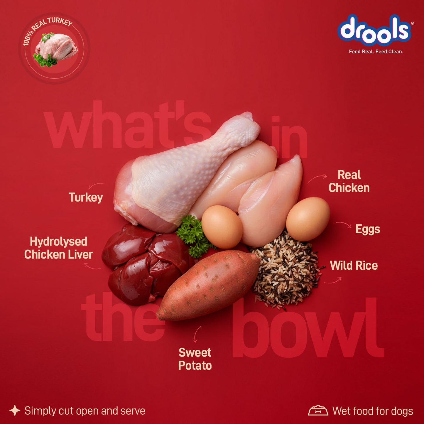 Drools Adult Turkey with Wild Rice & Pumpkin Gravy | Wet Dog Food