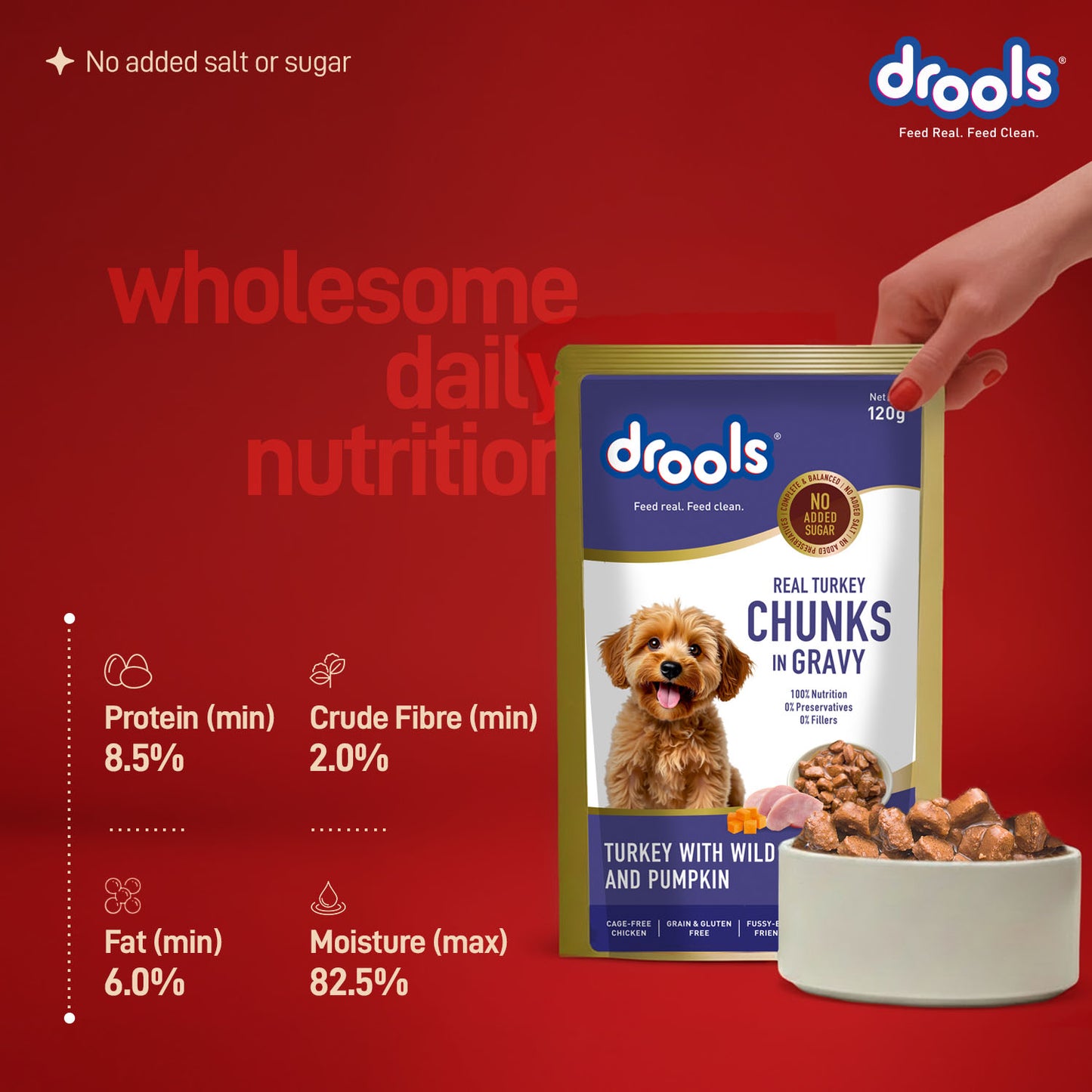 Drools Adult Turkey with Wild Rice & Pumpkin Gravy | Wet Dog Food