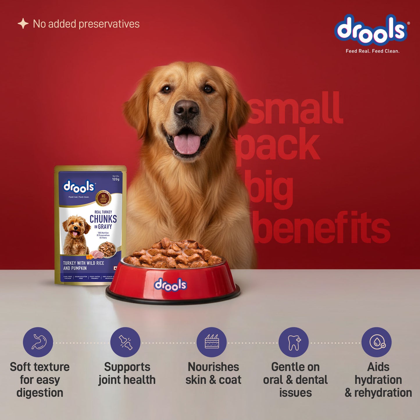 Drools Adult Turkey with Wild Rice & Pumpkin Gravy | Wet Dog Food