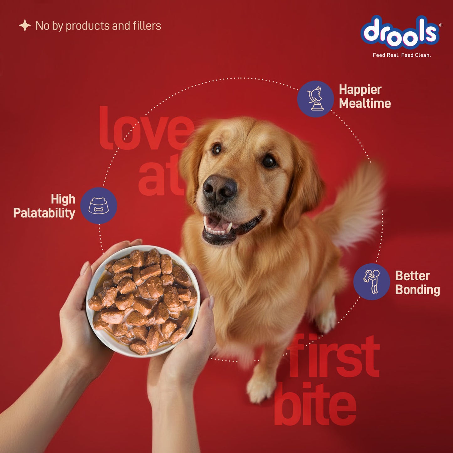 Drools Adult Turkey with Wild Rice & Pumpkin Gravy | Wet Dog Food