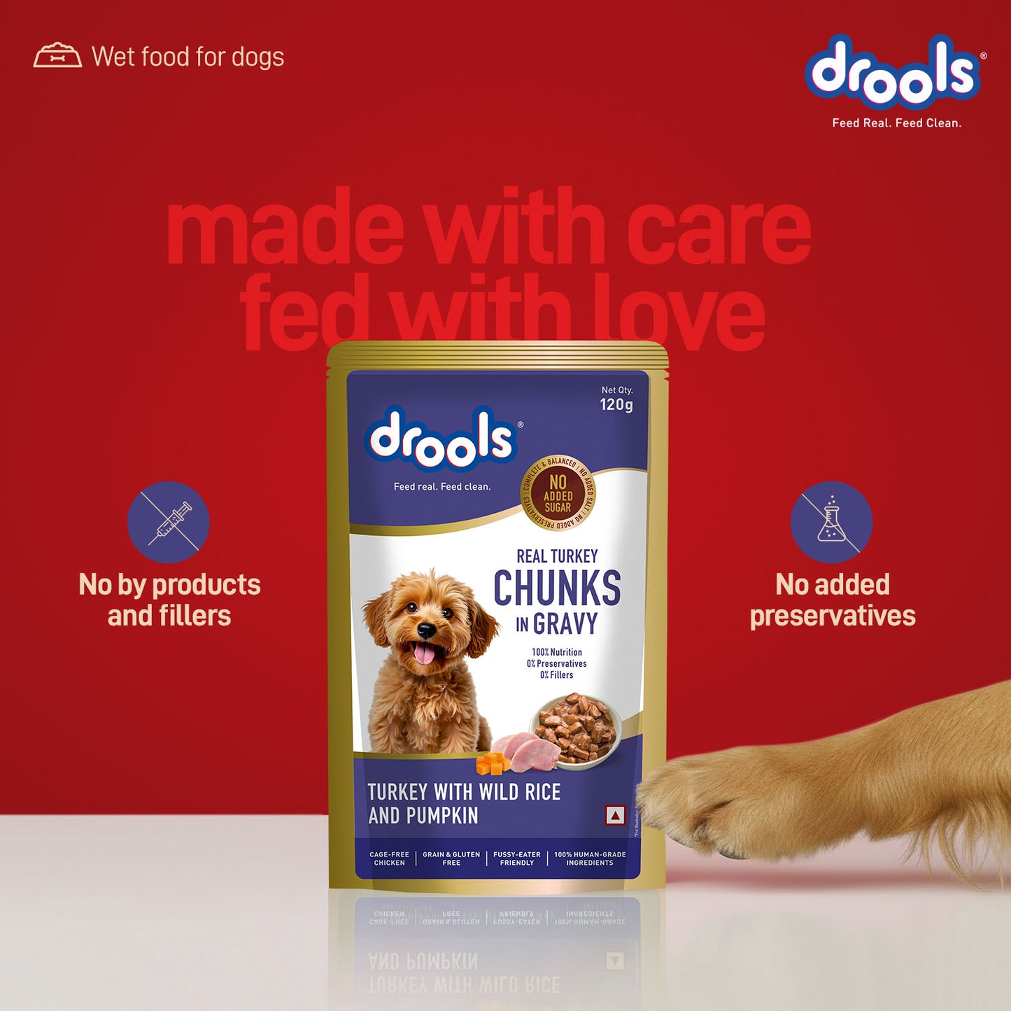 Drools Adult Turkey with Wild Rice & Pumpkin Gravy | Wet Dog Food