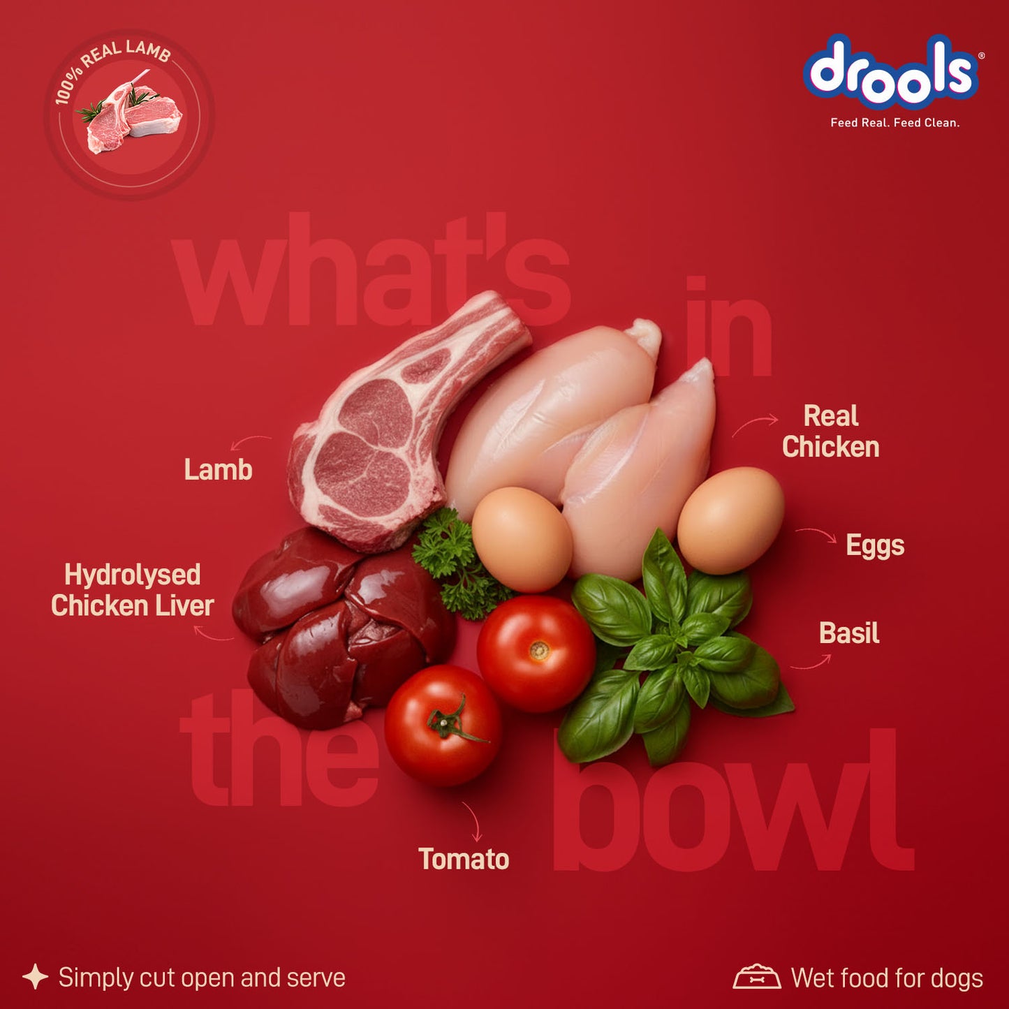 Drools Adult Tuscan Lamb with Basil & Tomato Gravy | Wet Dog Food
