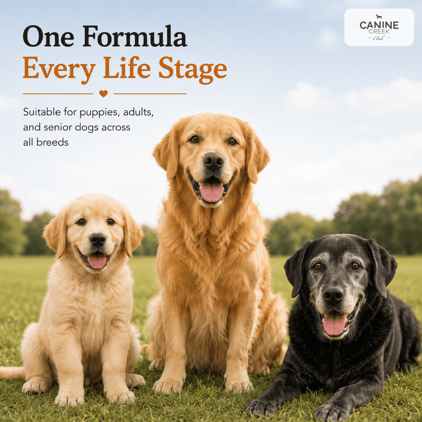 Canine Creek Club | Dry Dog Food