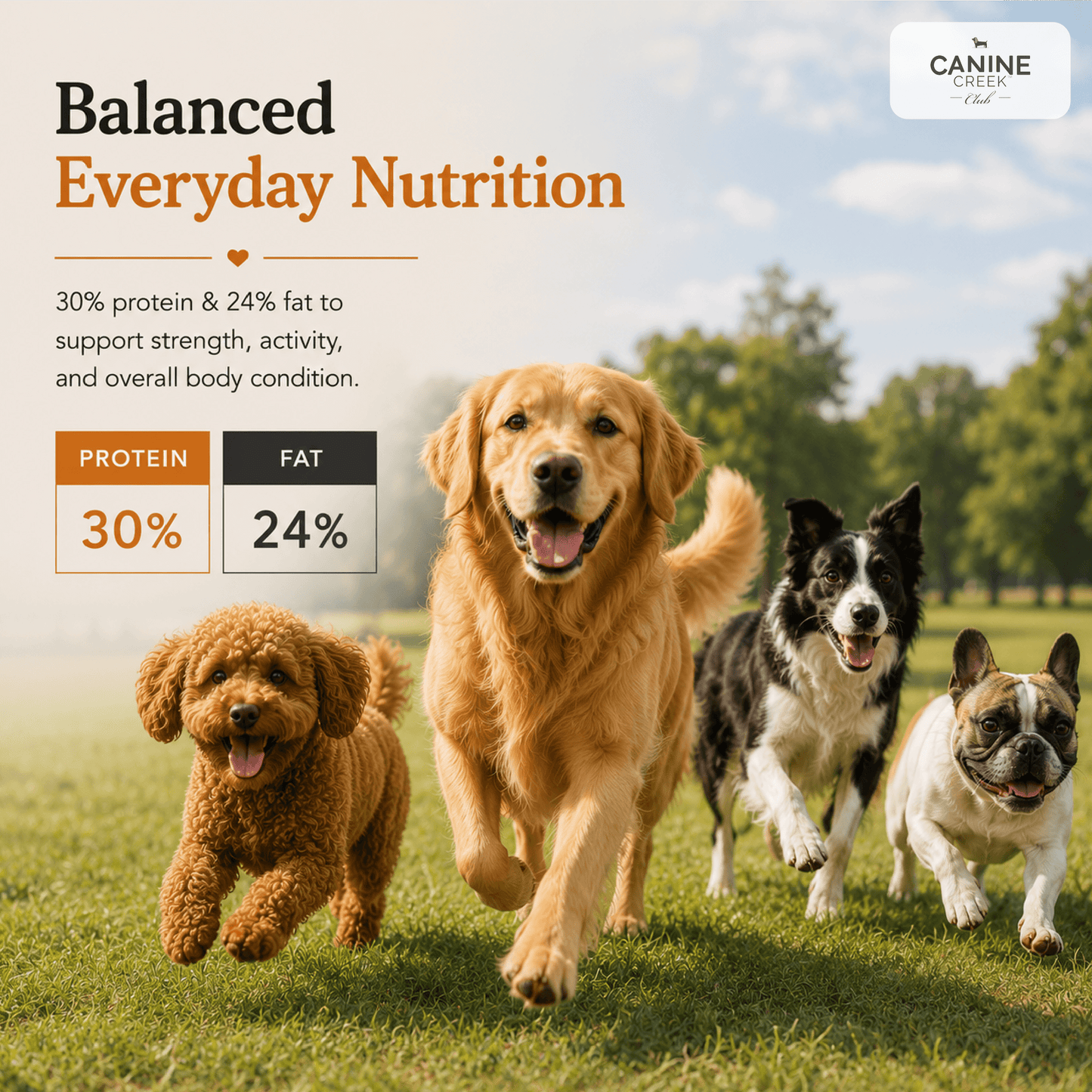 Canine Creek Club | Dry Dog Food
