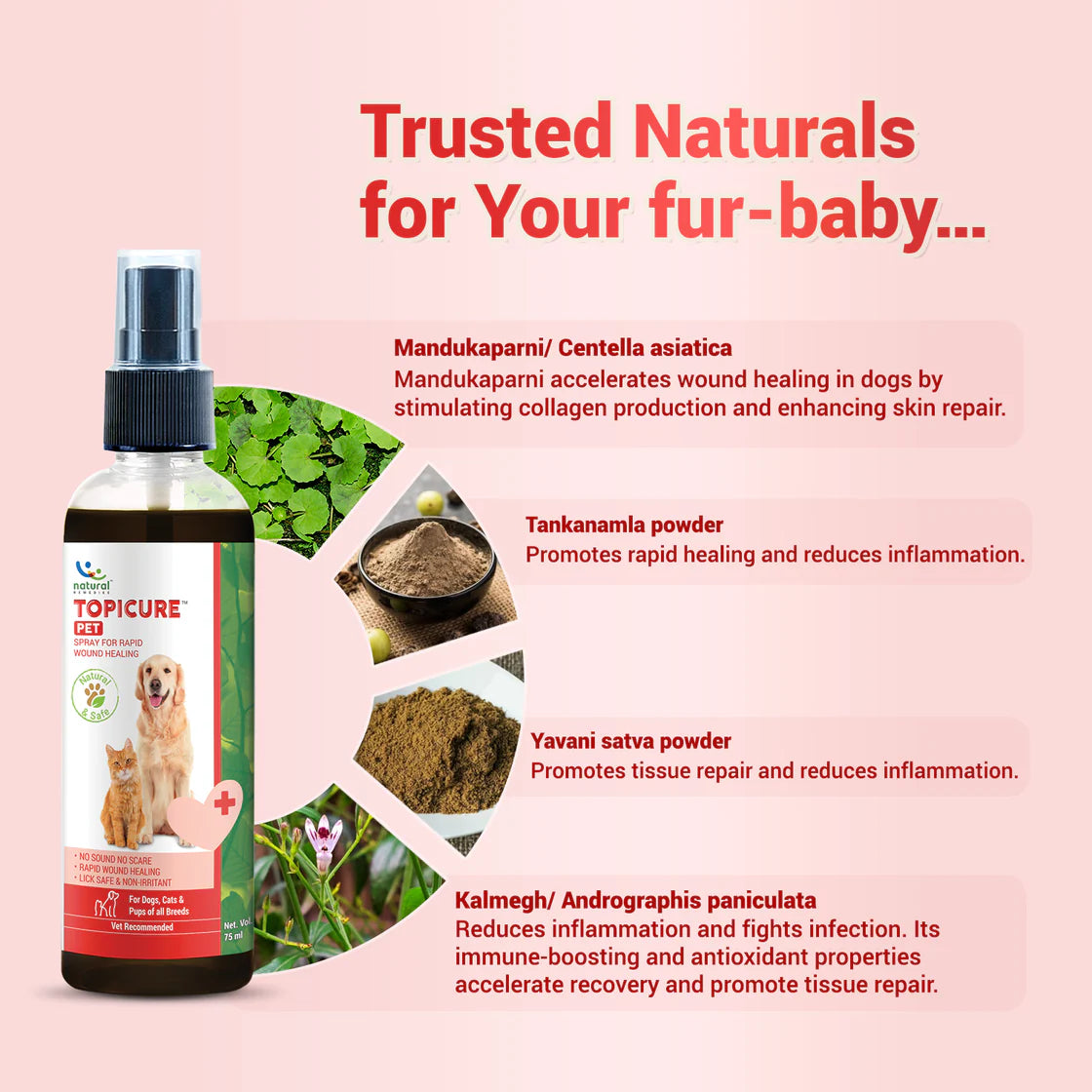 Natural Remedies Topicure Wound Healing Spray 75ml | Pet Medicines