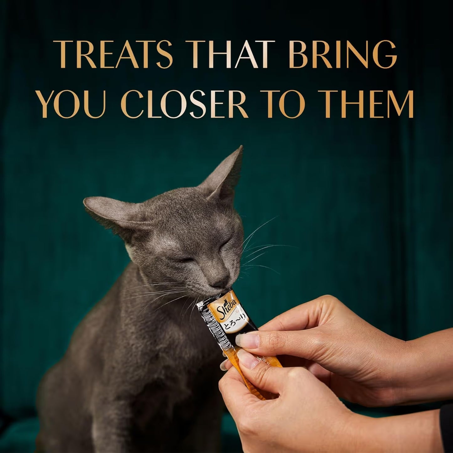 Sheba Sasami Selection - 20 pcs pack | Wet Cat Treats