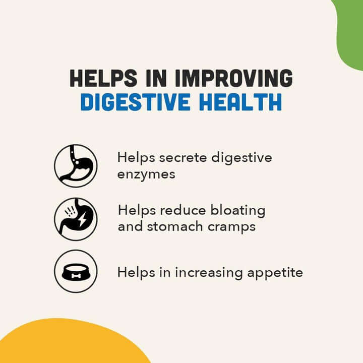 Natural Remedies Digestive Bites Chicken & Liver Flavor | Soft Dog Treats