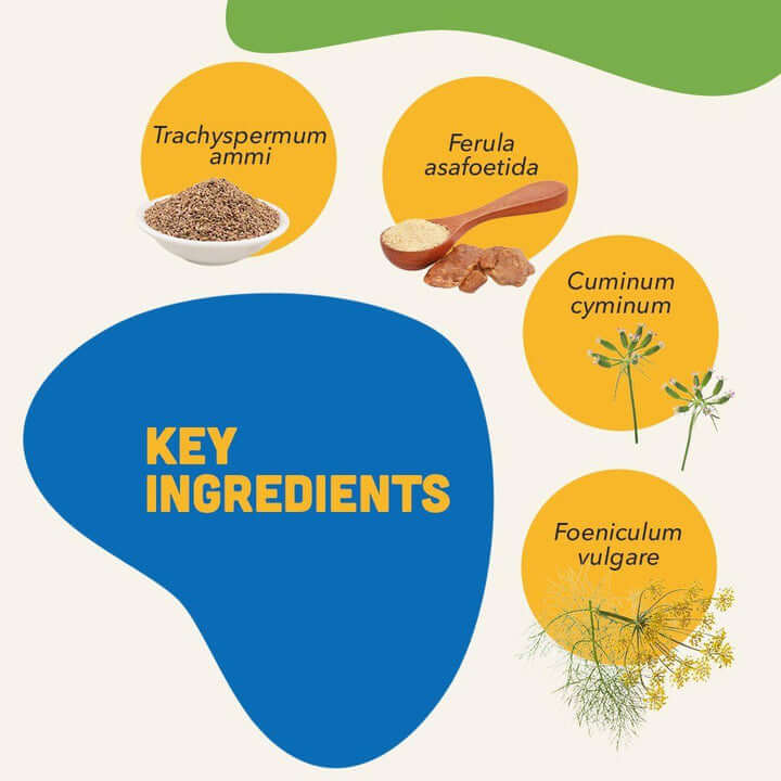 Natural Remedies Digestive Bites Chicken & Liver Flavor | Soft Dog Treats