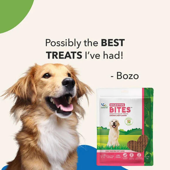 Natural Remedies Digestive Bites Chicken & Liver Flavor | Soft Dog Treats