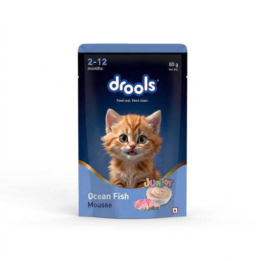Drools Mousse Ocean Fish Kitten - 80 gm | Wet Cat Food