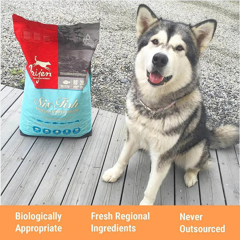 Orijen Six Fish | Dry Dog Food