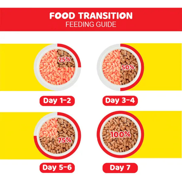 ME-O Salmon Adult | Dry Cat Food